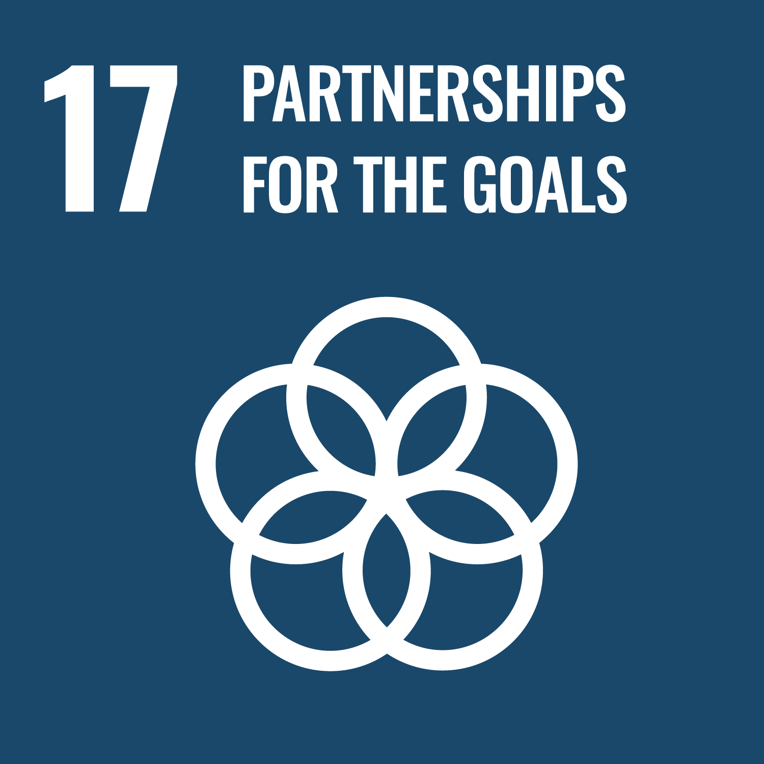 #17 Partnerships for the Goals