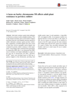 A locus on barley chromosome 5H affects adult plant resistance to powdery mildew
