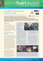 Beneficial fungi and the health of tuart