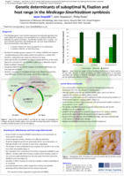 Genetic determinants of suboptimal N2 fixation and host range in the Medicago-Sinorhizobium symbiosis