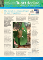The impact of a foliar pathogen on tuart revegetation