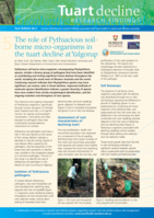 The role of Pythiacious soil-borne micro-organisms in the tuart decline at Yalgorup