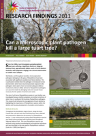 Can a microscopic plant pathogen kill a large tuart tree?