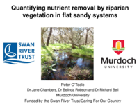 Assessing the effectiveness of riparian vegetation in a flat sandy soiled system