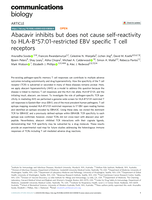 Abacavir inhibits but does not cause self-reactivity to HLA-B*57:01-restricted EBV specific T cell receptors