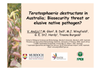 Teratosphaeria destructans in Australia: biosecurity threat or elusive native pathogen?