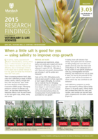 When a little salt is good for you — using salinity to improve crop growth