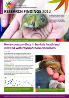 Honey possum diets in banksia heathland infested with Phytophthora cinnamomi
