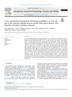 A new microbothriid monogenean Dermopristis pterophilus n. sp. from the skin of the Critically Endangered green sawfish Pristis zijsron Bleeker, 1851 (Batoidea: Pristidae) in Western Australia