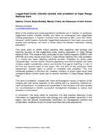 Loggerhead turtle (Caretta caretta) nest predation at Cape Range National Park