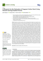 A blueprint for the estimation of seagrass carbon stock using remote sensing-enabled proxies
