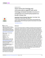 Heart ventricular histology and microvasculature together with aortic histology and elastic lamellar structure: A comparison of a novel dual-purpose to a broiler chicken line