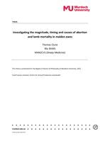 Investigating the magnitude, timing and causes of abortion and lamb mortality in maiden ewes