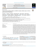 Characterising splicing defects of ABCA4 variants within exons 13–50 in patient-derived fibroblasts