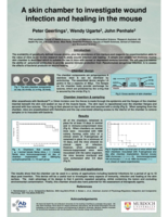A skin chamber to investigate wound infection and healing in the mouse