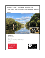 Survey of Carter’s Freshwater Mussel in the Lower Vasse River to inform future sediment removal