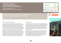 Brief: Bread and stones: Co-investing in mining and agriculture in Africa