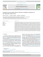 Copepods and mixotrophic Rhizaria dominate zooplankton abundances in the oligotrophic Indian Ocean