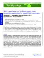 SPIRE—a software tool for bicontinuous phase recognition: application for plastid cubic membranes
