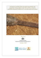 Freshwater Sawfish (Pristis microdon) movements and population demographics in the Fitzroy River, Western Australia and genetic analysis of P. microdon and Pristis zijsron