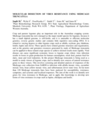 Molecular dissection of virus resistance using Medicago truncatula