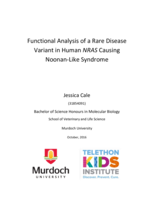 Functional analysis of a rare disease variant in human NRAS causing Noonan-Like syndrome