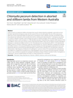 Chlamydia pecorum detection in aborted and stillborn lambs from Western Australia