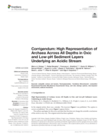 Corrigendum: High representation of archaea across all depths in oxic and low-pH sediment layers underlying an acidic stream