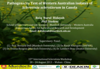 Pathogenicity test of Western Australian isolates of Sclerotinia sclerotiorum in canola