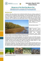 Mangroves of the Shark Bay Marine Park