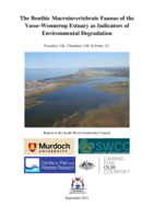 The benthic macroinvertebrate faunas of the Vasse-Wonnerup Estuary as indicators of environmental degradation. Report for the South West Catchments Council