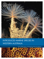 Introduced Marine Species in Western Australia
