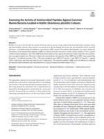 Assessing the activity of antimicrobial peptides against common marine bacteria located in rotifer (Brachionus plicatilis) cultures