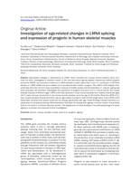 Investigation of age-related changes in LMNA splicing and expression of progerin in human skeletal muscles