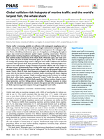 Global collision-risk hotspots of marine traffic and the world’s largest fish, the whale shark