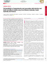 Seropositivity to Campylobacter and association with abortion and lamb mortality in maiden ewes from Western Australia, South Australia and Victoria