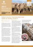 Radical vitamins: Improving lamb meat quality by feeding vitamin E