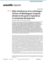 RNA interference of an orthologue of Dicer of Meloidogyne incognita alludes to the gene’s importance in nematode development