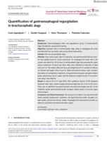 Quantification of gastroesophageal regurgitation in brachycephalic dogs