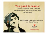 Too good to waste: Creating biochar from cleared vegetation as a soil improver and carbon sink