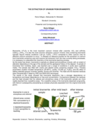 The extraction of uranium from brannerite