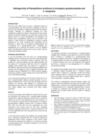 Pathogenicity of Phytophthora multivora to Eucalyptus gomphocephala and E. marginata