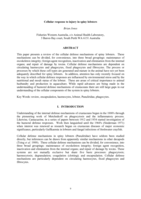 Cellular response to injury in spiny lobsters