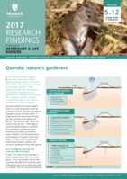 Quenda; nature's gardeners