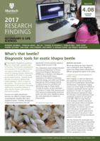 What's that beetle? Diagnostic tools for exotic khapra beetle