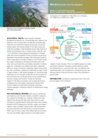 TF1.5 Episodic arid floodplains