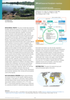 TF1.4 Seasonal Floodplain marshes