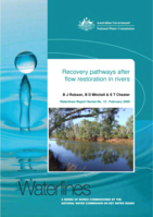 Recovery pathways after flow restoration in rivers