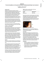 The role of woodborers on the spread and infection of Ophiostomatoid fungi in marri and jarrah