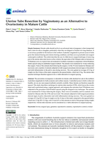 Uterine tube resection by vaginotomy as an alternative to ovariectomy in mature cattle
